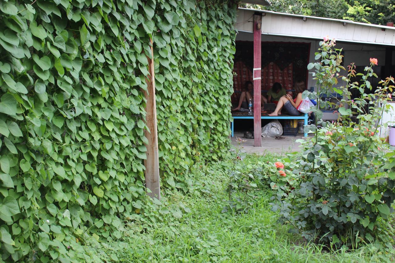 Nomads Home Bishkek Exteriör bild
